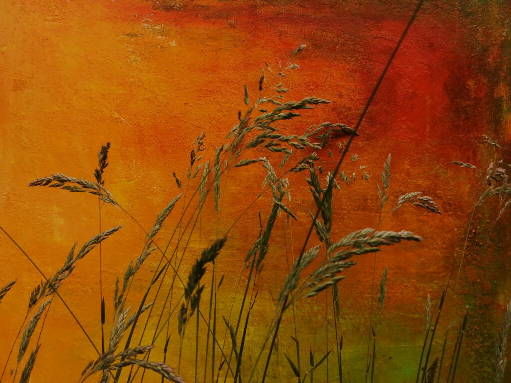 Gräser vor roter Leinwand