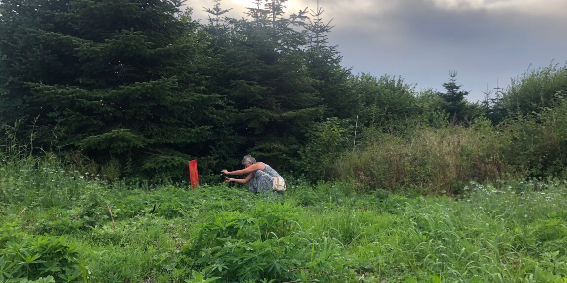 Die Künstlerin sind in einer Wiese und fotografiert eine rote Leinwand